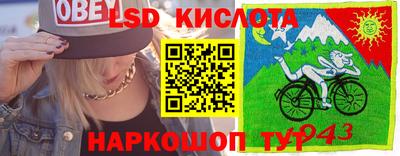крисы Волжский