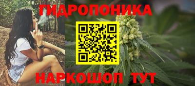 крисы Волжский