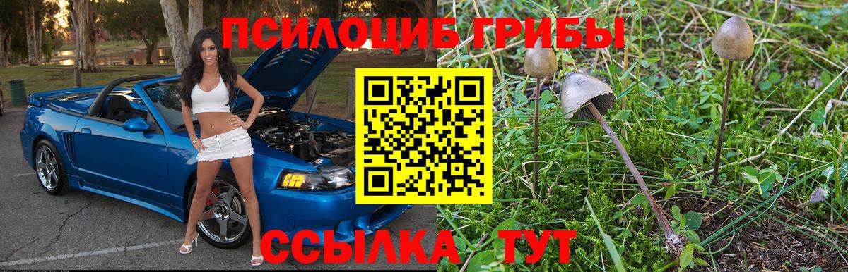 дарнет шоп  Галлюциногенные грибы Magic Shrooms  Вход с VPN  Протвино 
