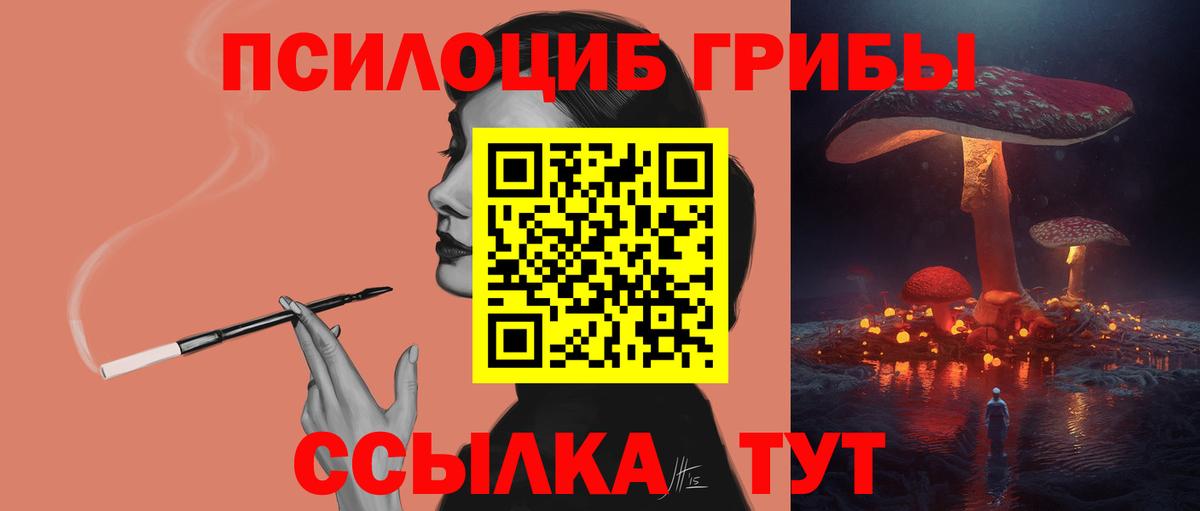 Псилоцибиновые грибы Psilocybe Протвино